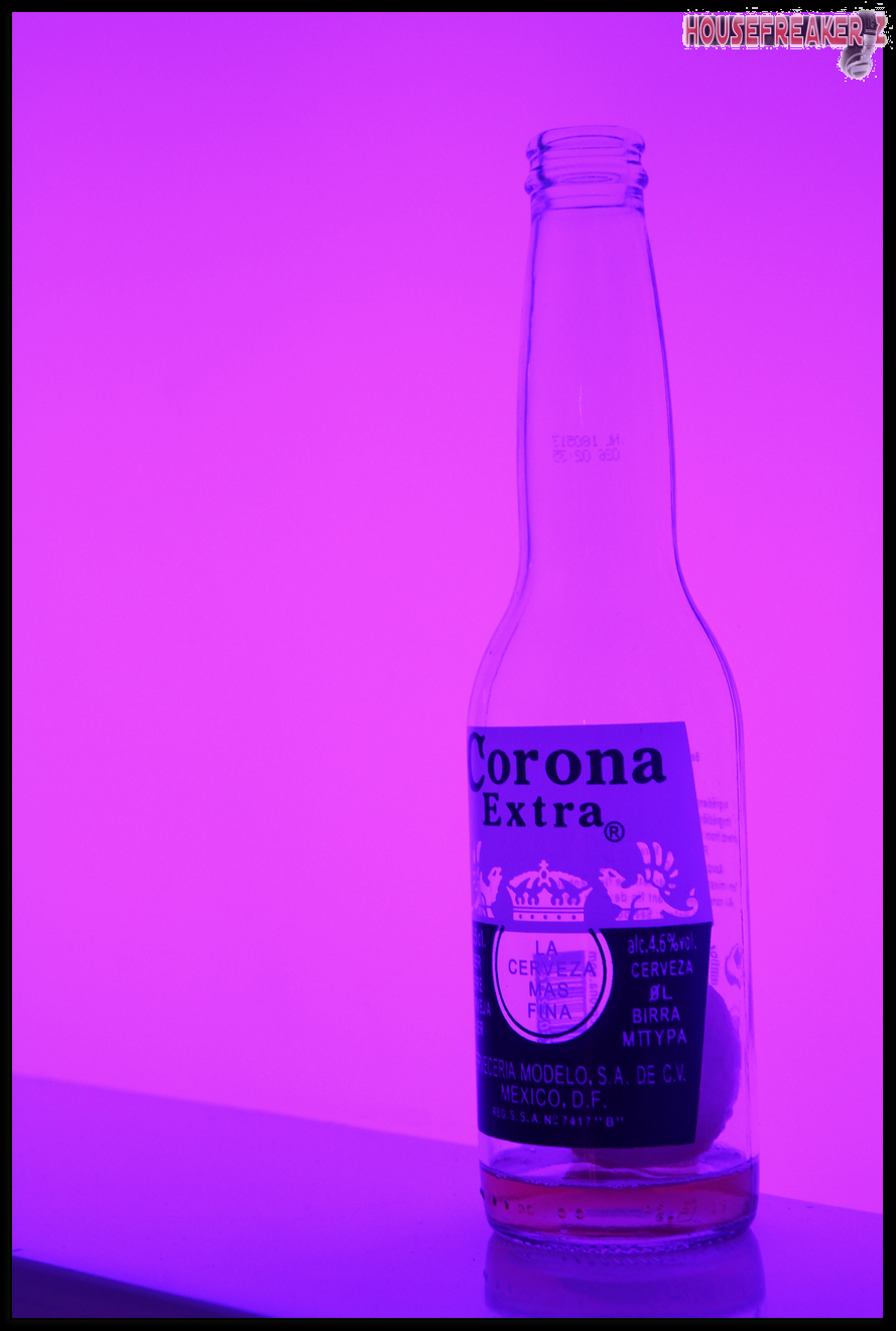 889x1321 pixels (1.024K)
